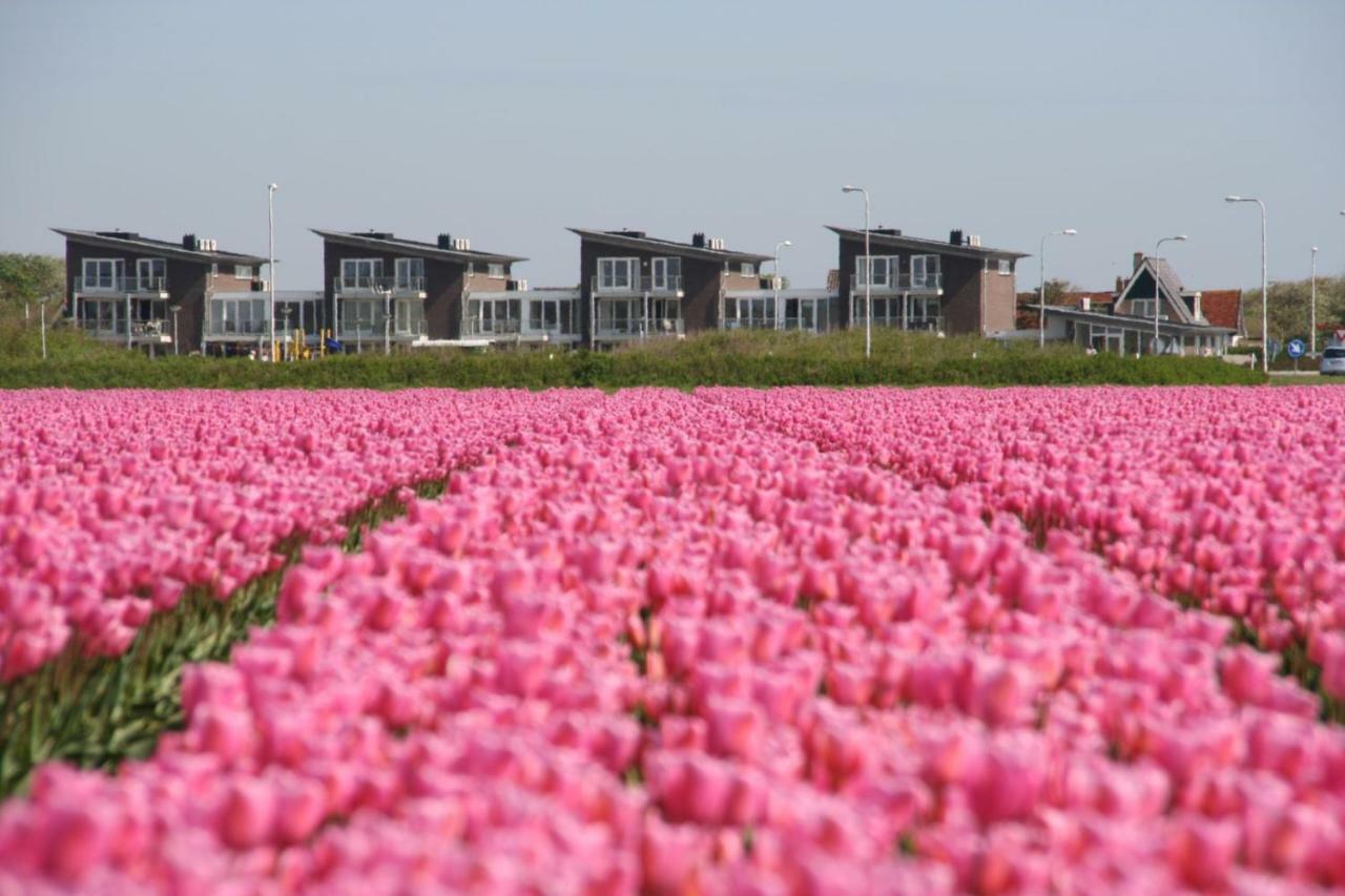 Het Strandleven 4 Apartment *
